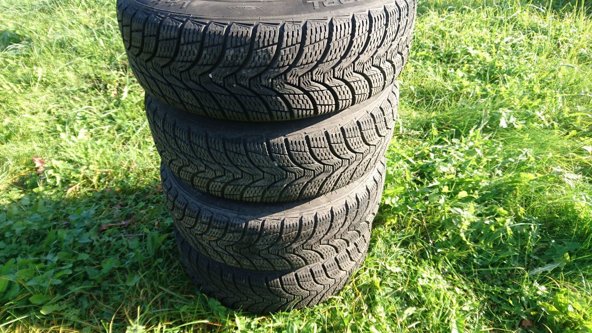 DSC_0099.JPG