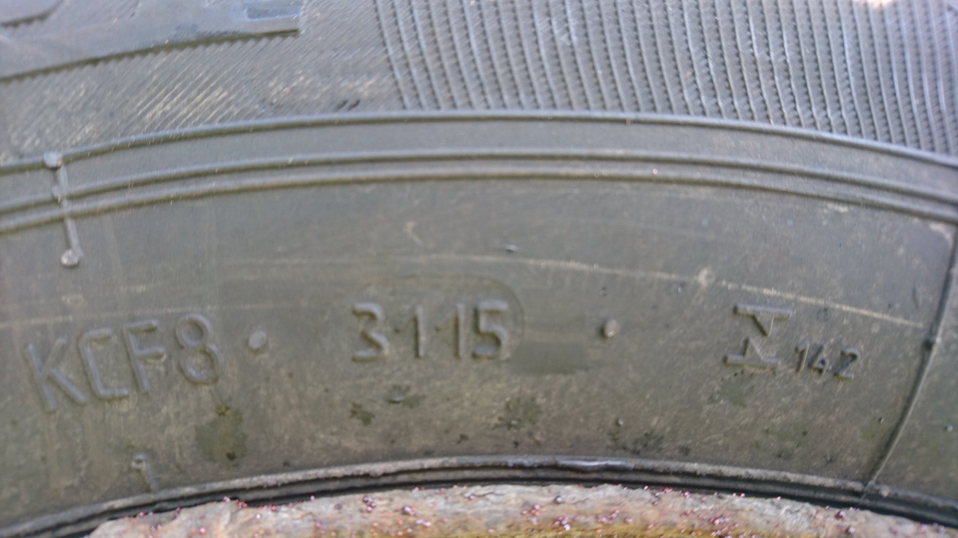 DSC_0100.JPG