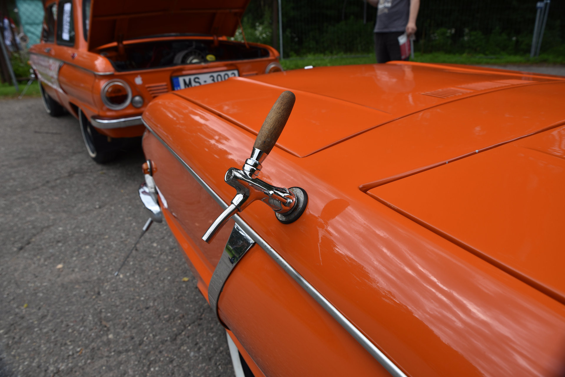 DSC_0302.JPG