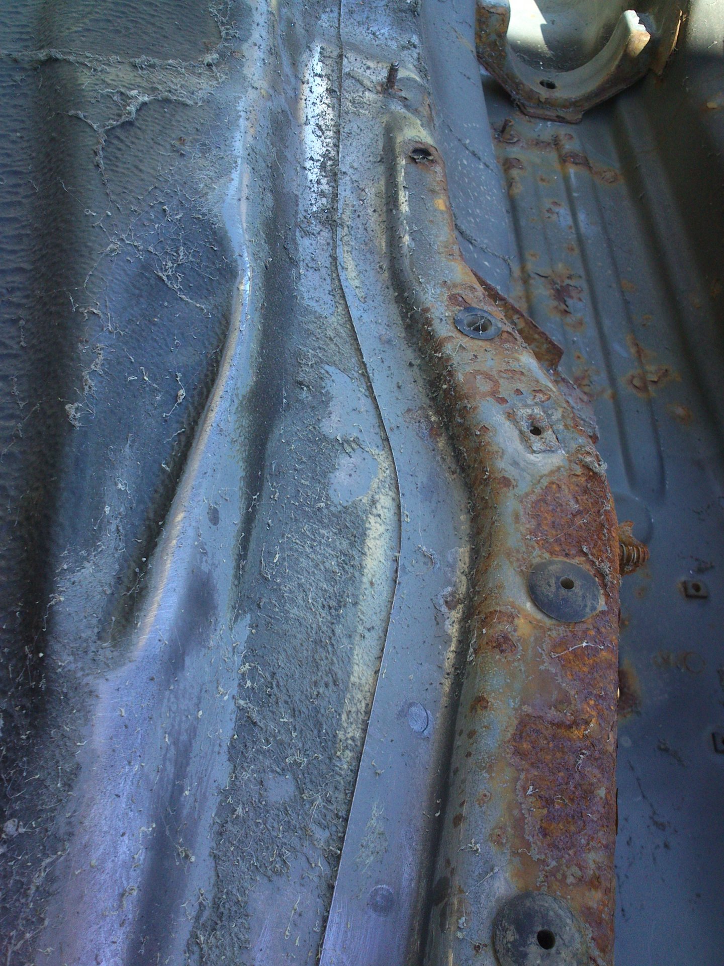 DSC_1662.jpg