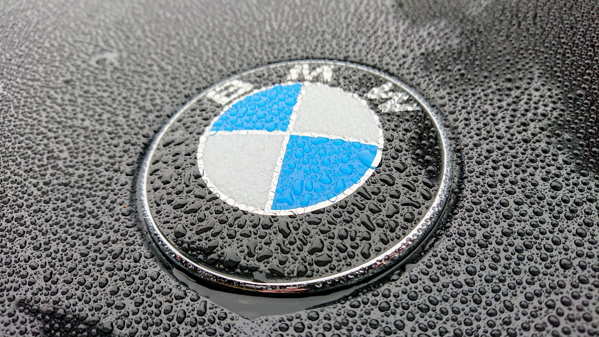 DSC_2598.JPG