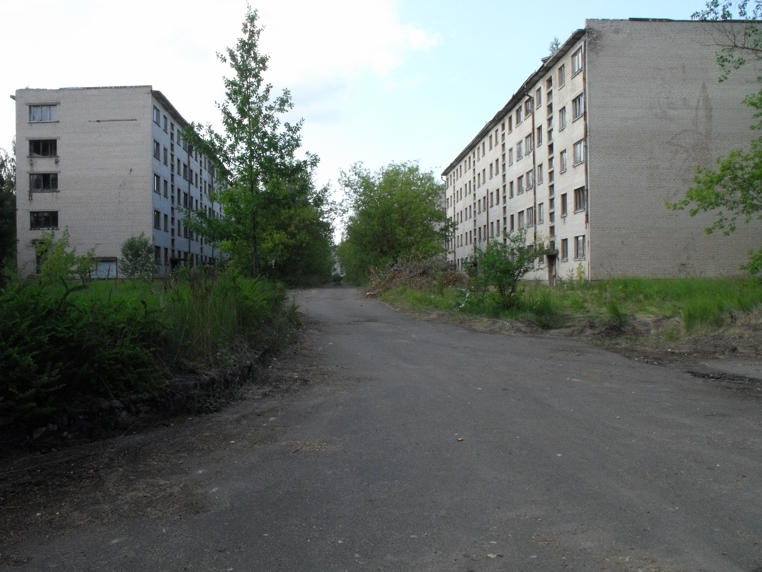 DSCF8074_s.jpg