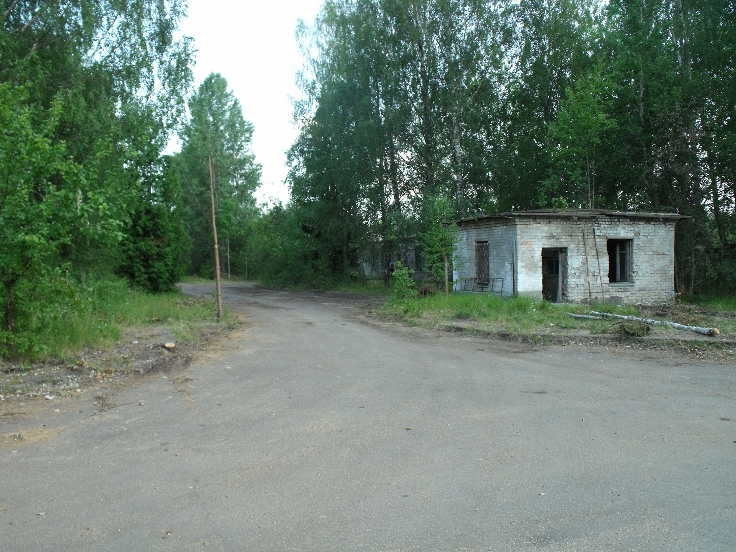 DSCF8075_s.jpg