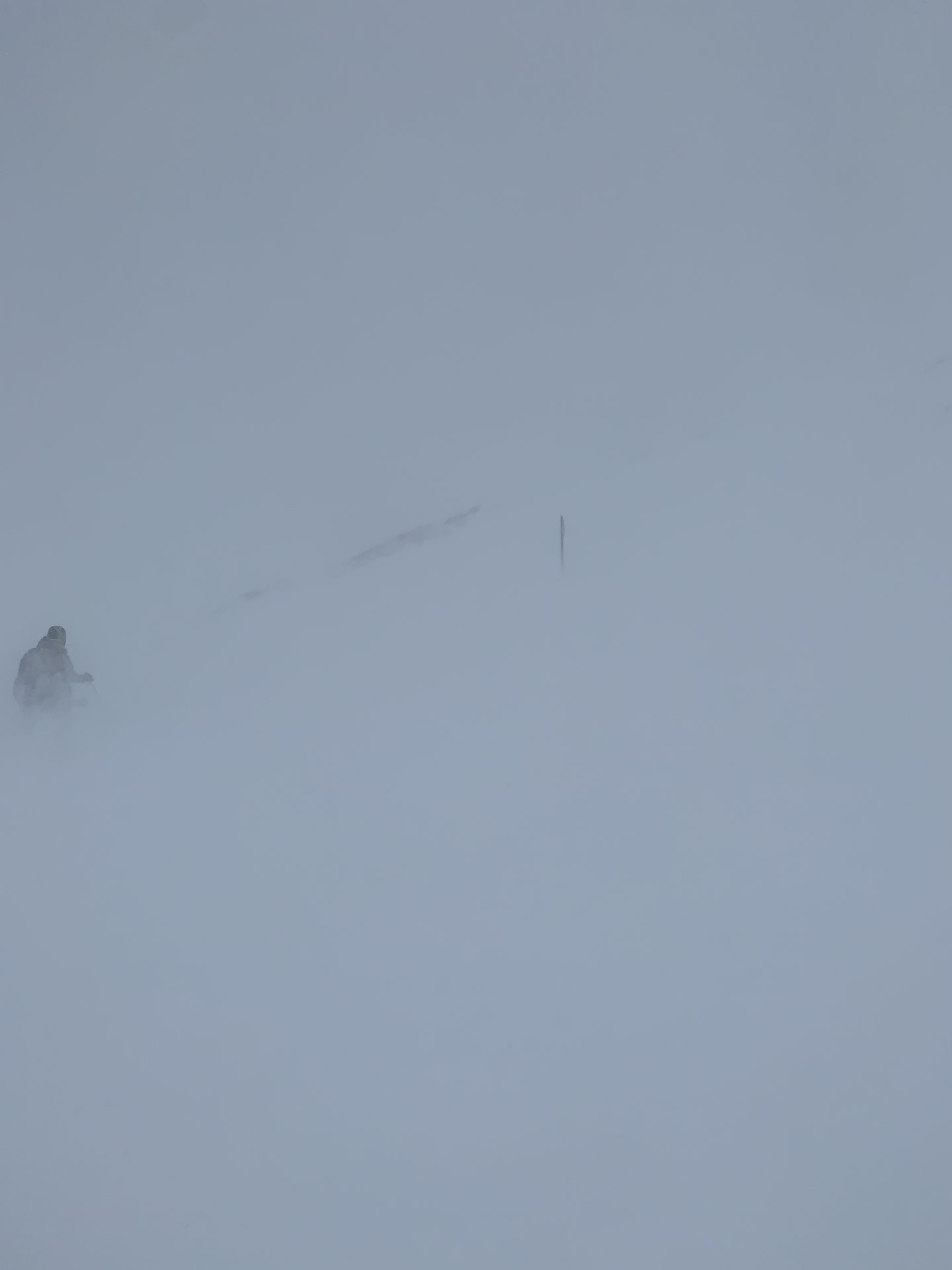F8B65380-1C3D-4812-9383-BE652D22E46D.jpeg