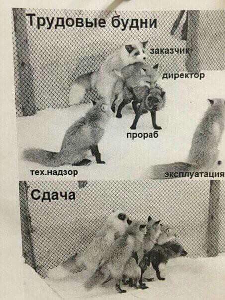 FB_IMG_1517649836694.jpg