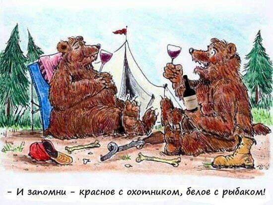 FB_IMG_1539370819051.jpg