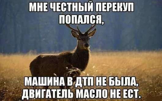 FB_IMG_1547648447719.jpg