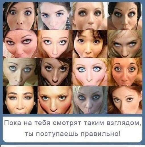 FB_IMG_1550943423966.jpg