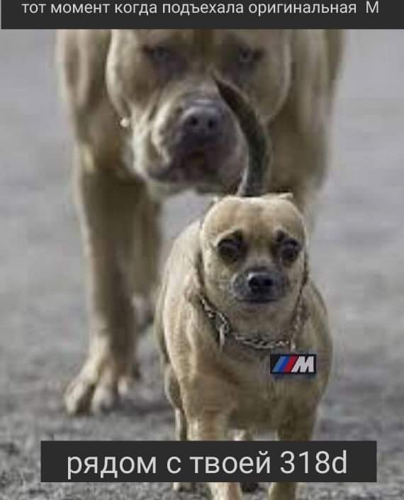 FB_IMG_1582533437716.jpg