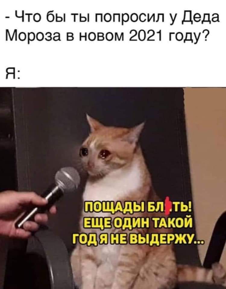 FB_IMG_1604258050681.jpg