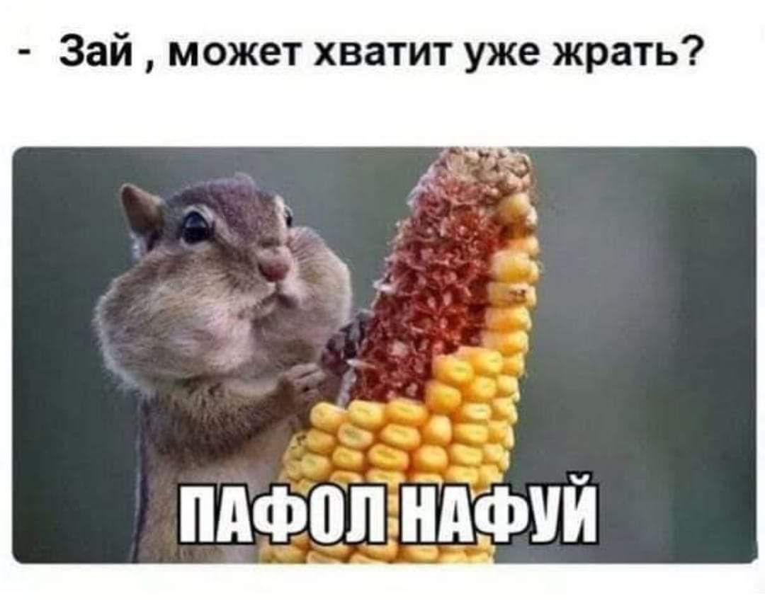 FB_IMG_1616193049539.jpg