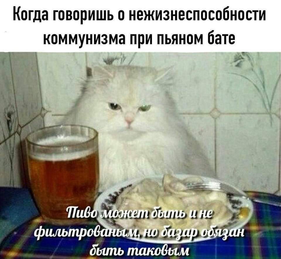 FB_IMG_1642324064387.jpg