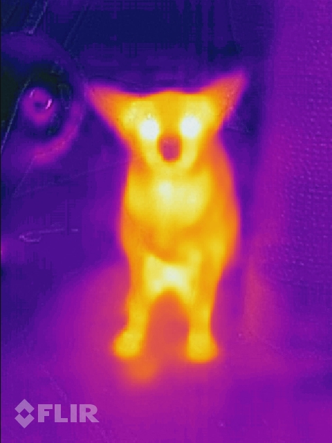 flir_20210401T002422.jpg