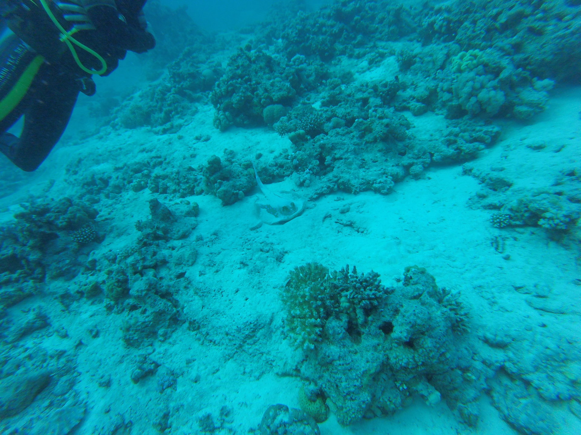 GOPR0435.JPG