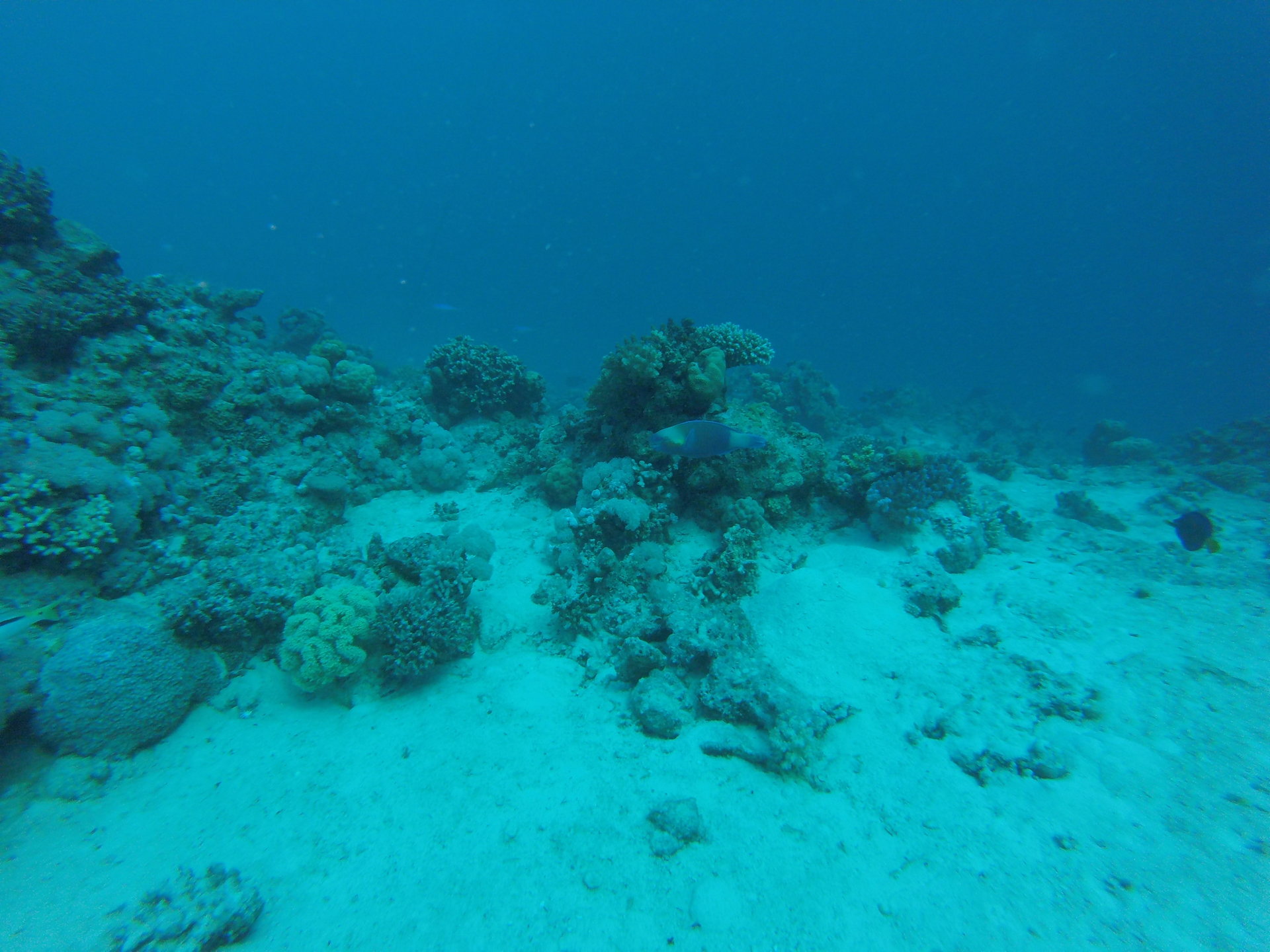 GOPR0441.JPG