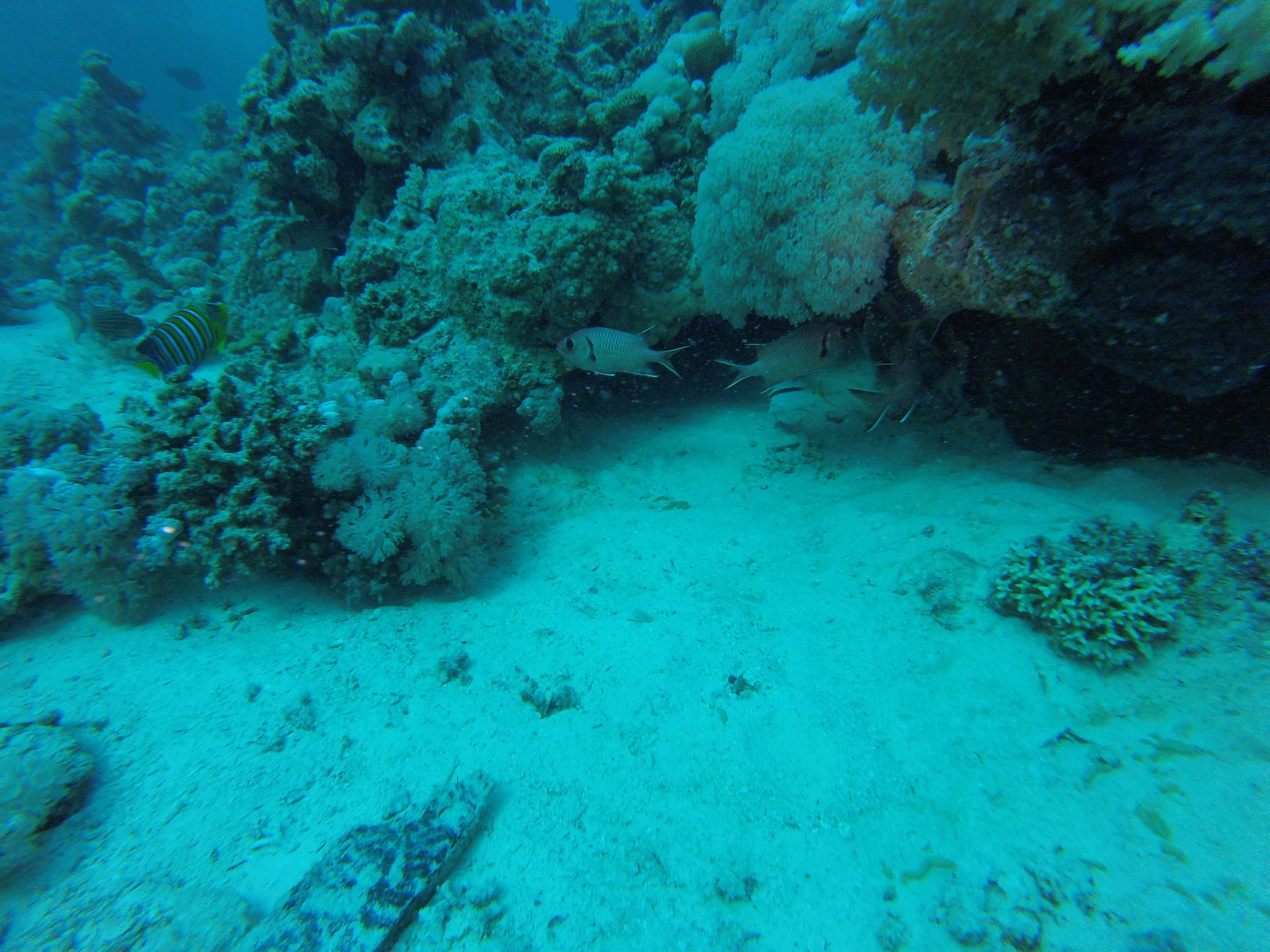 GOPR0443.JPG