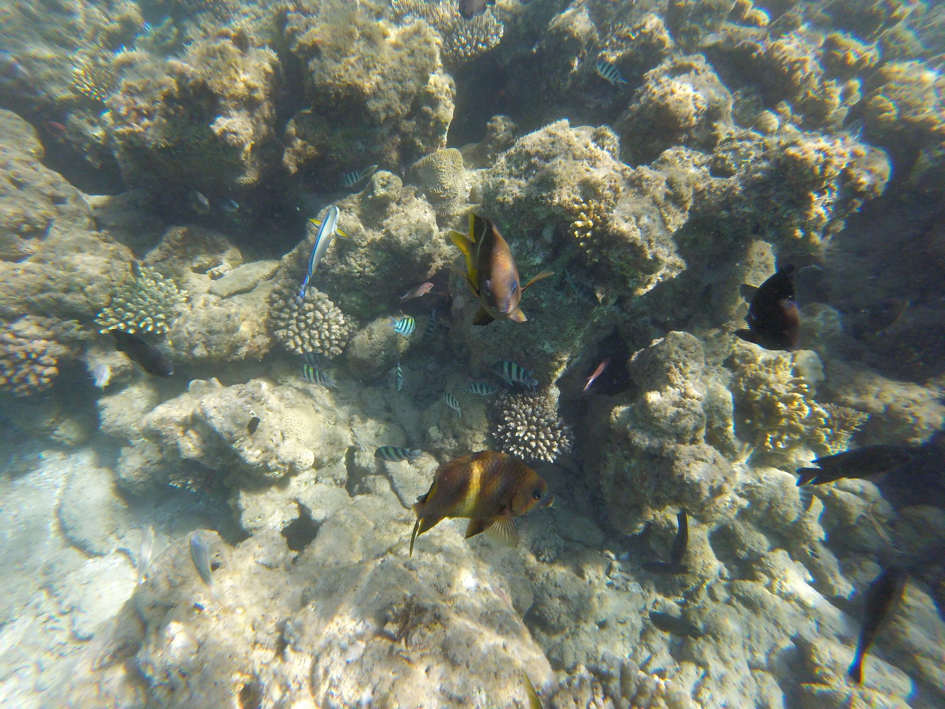 GOPR0449.JPG