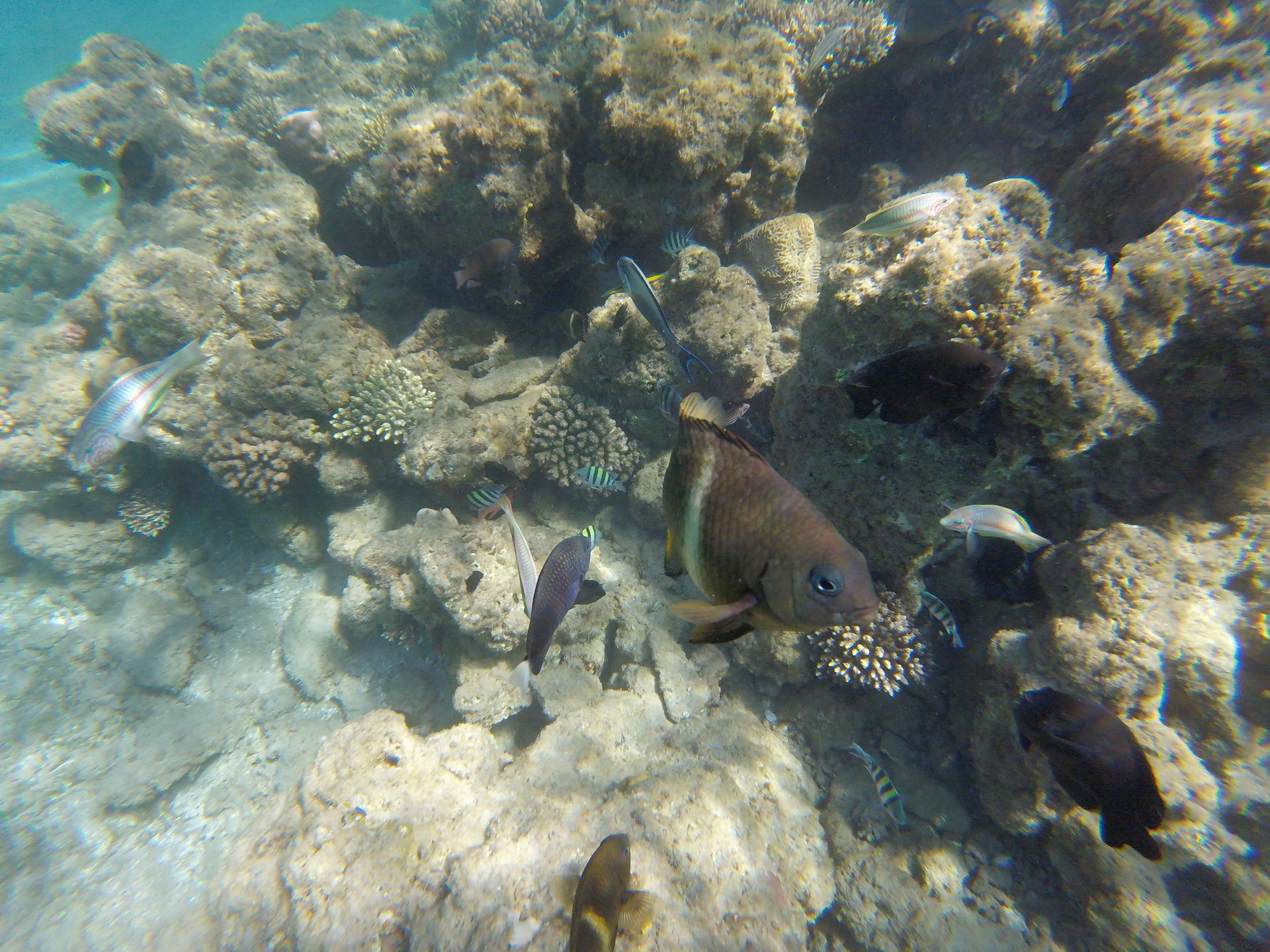 GOPR0451.JPG