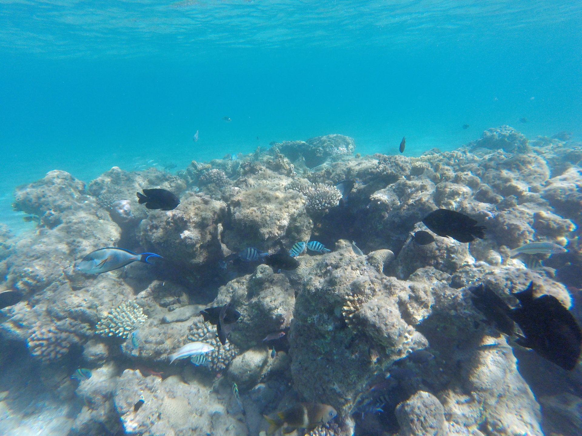 GOPR0452.JPG