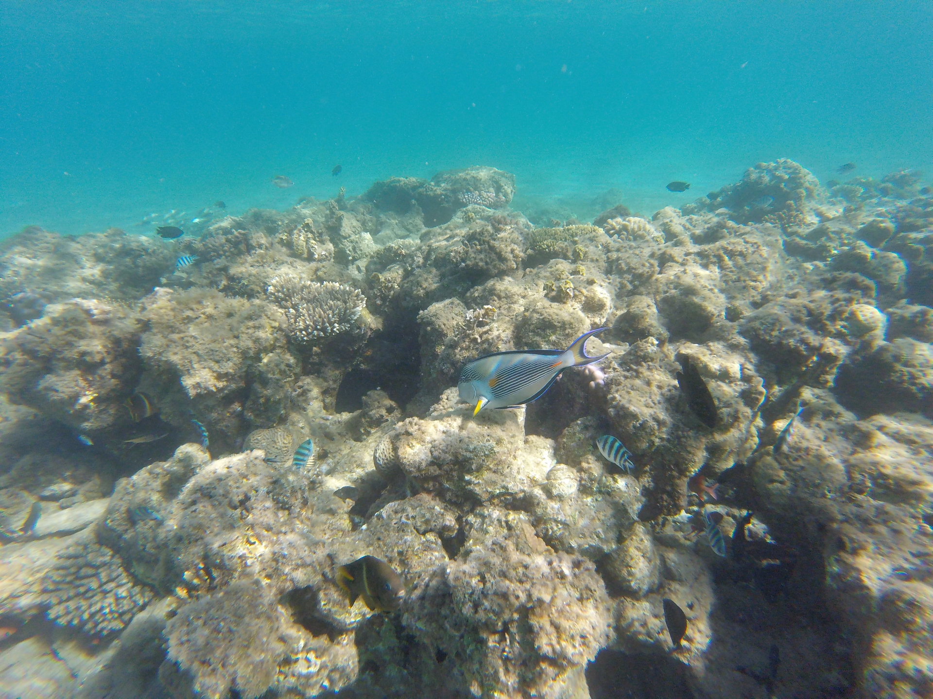 GOPR0455.JPG
