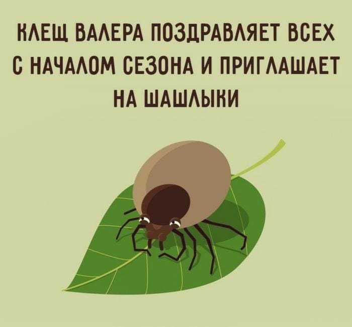 img-20190426-wa0000.jpg
