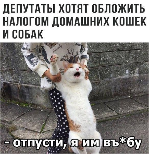 IMG-7d29c4f123dbcaa82fcc4a249ec4d9e8-V.jpg