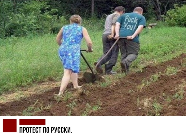 IMG-c634f1b1d767ad40399c32271cc8da1f-V.jpg