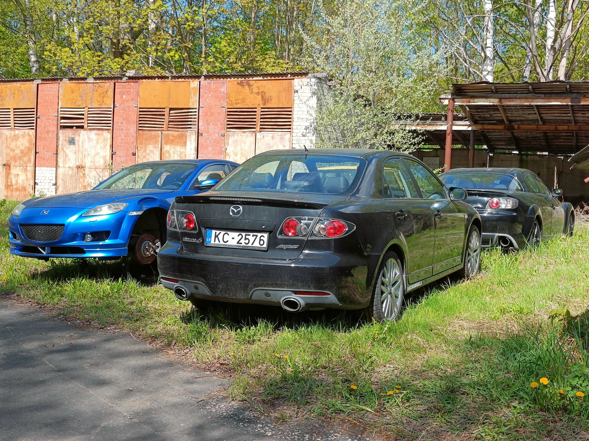 IMG20250503120557.jpg