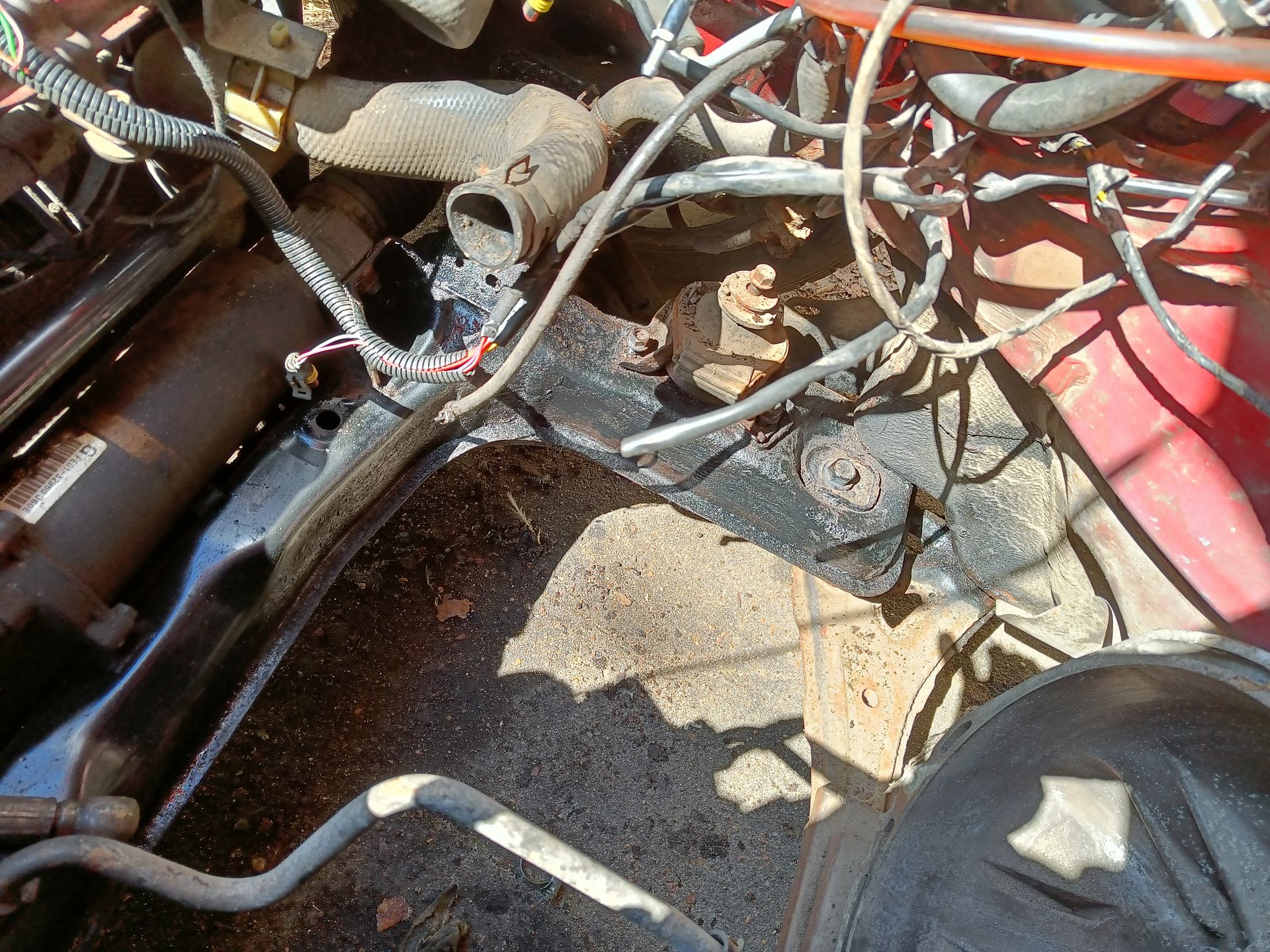 IMG20250507145850.jpg