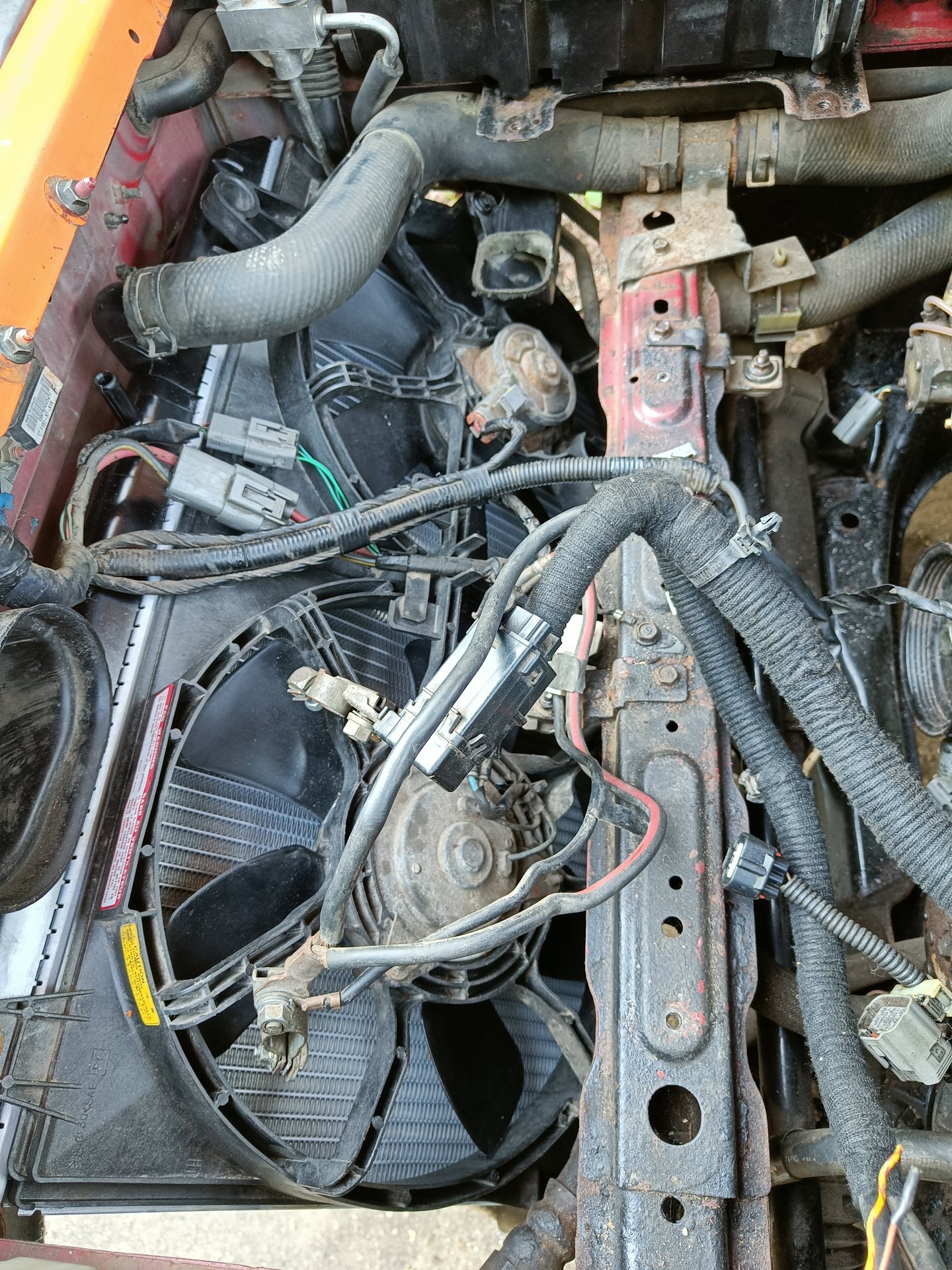 IMG20250706192601.jpg