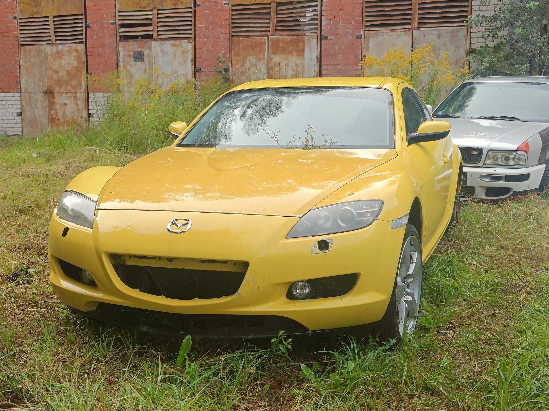 IMG20250824183025.jpg