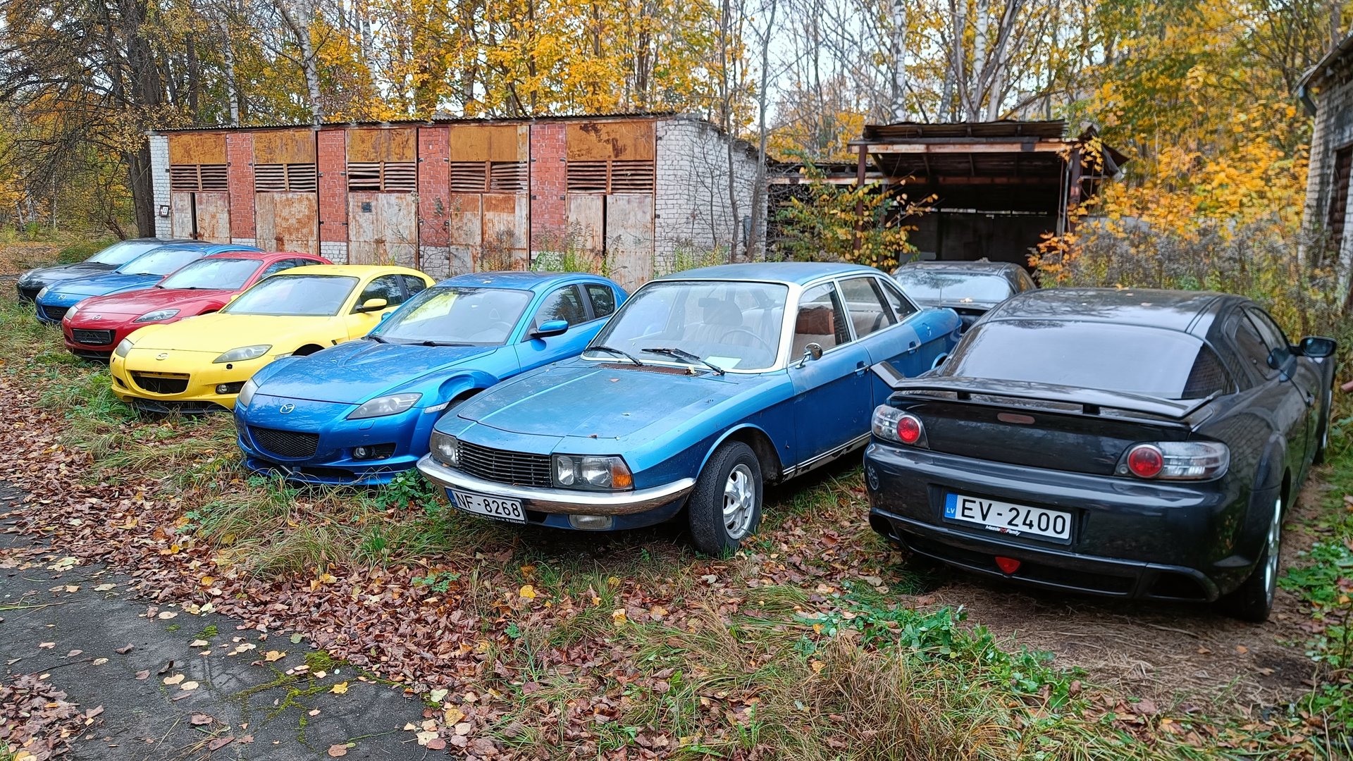 IMG20261026140555.jpg
