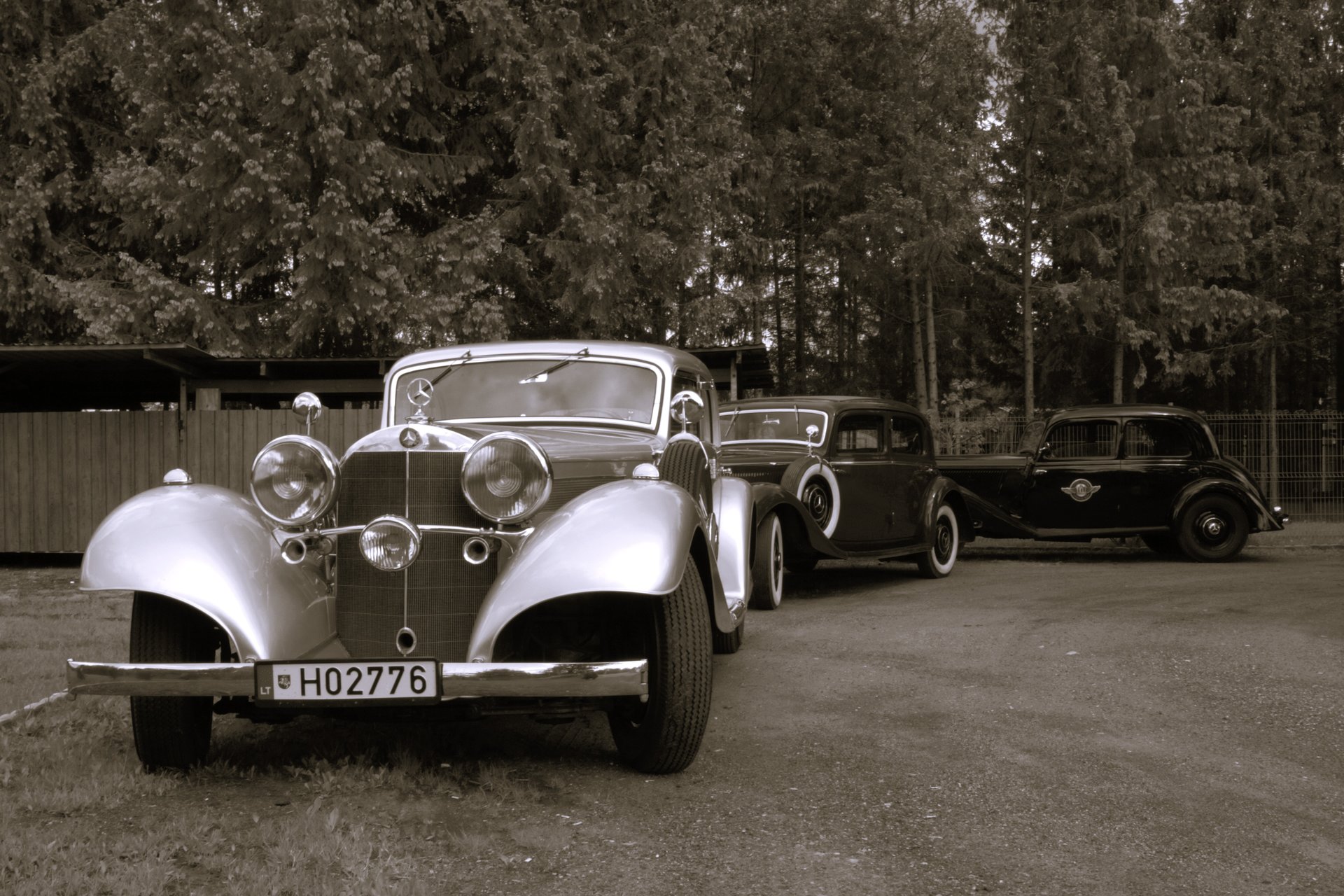 IMG_0440bw.JPG