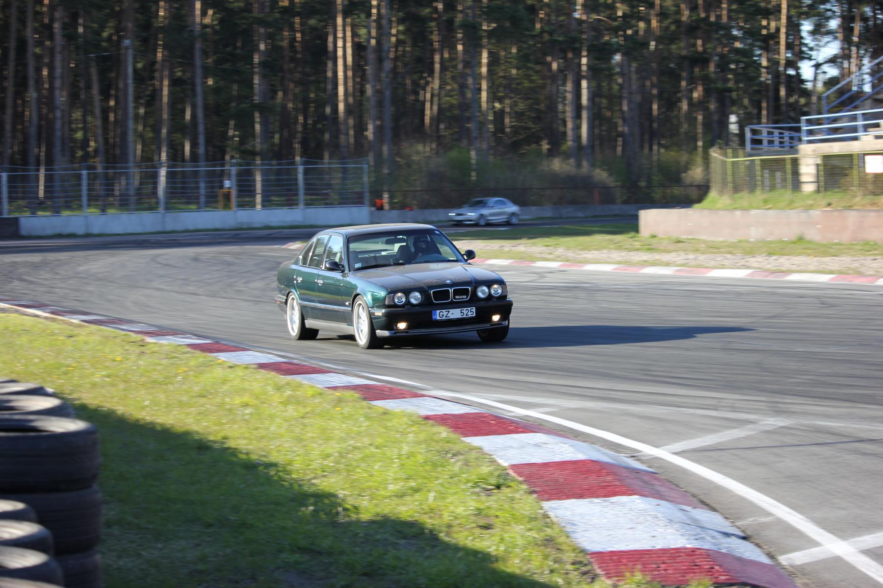 IMG_1365.jpg