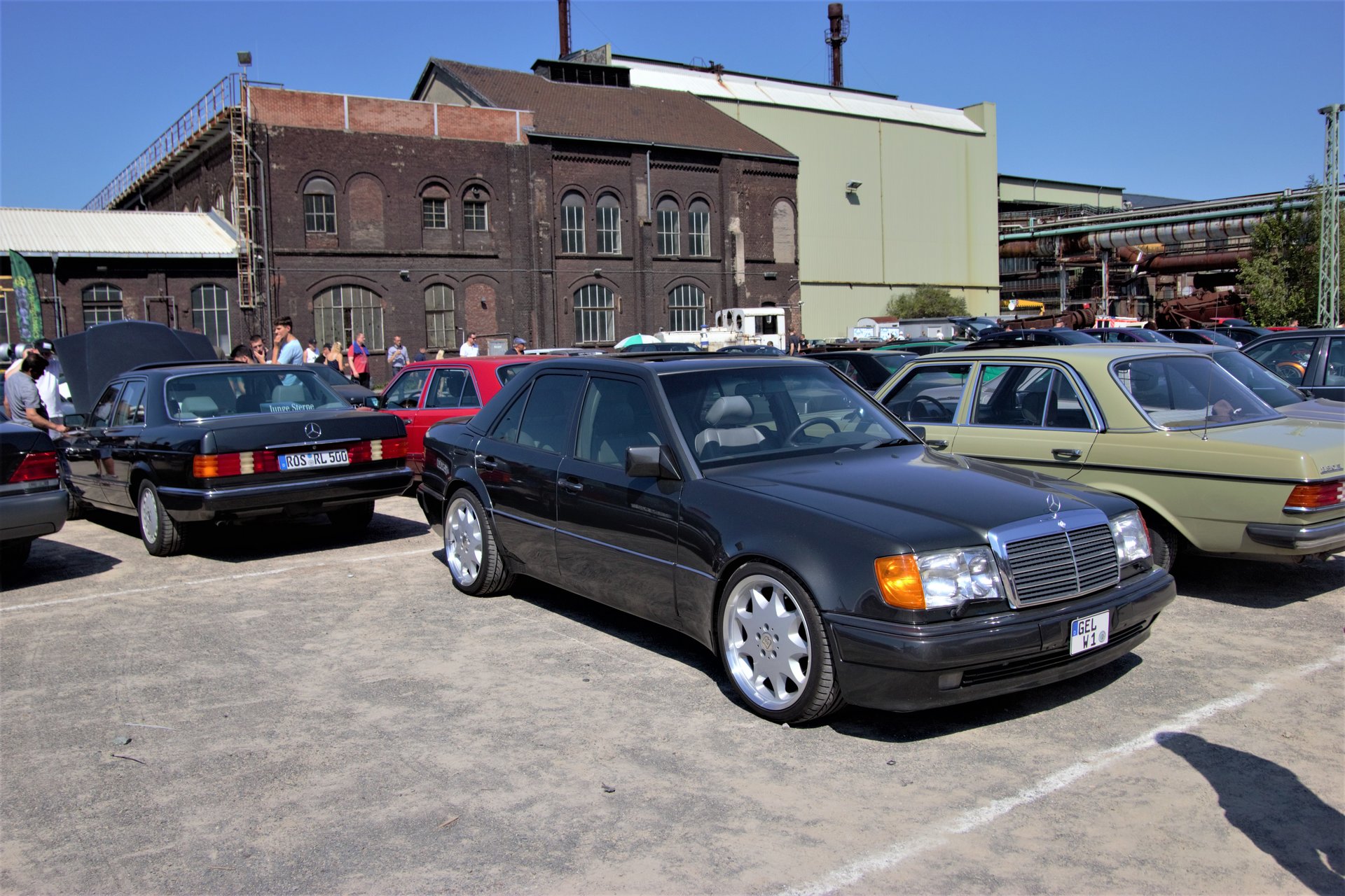 IMG_1382.jpg