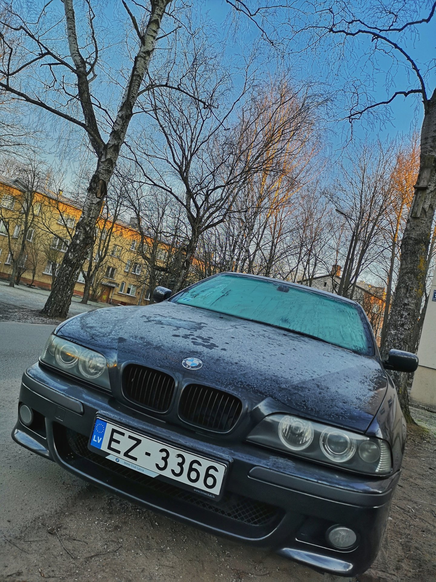 IMG_20190402_071753-01-01.jpeg