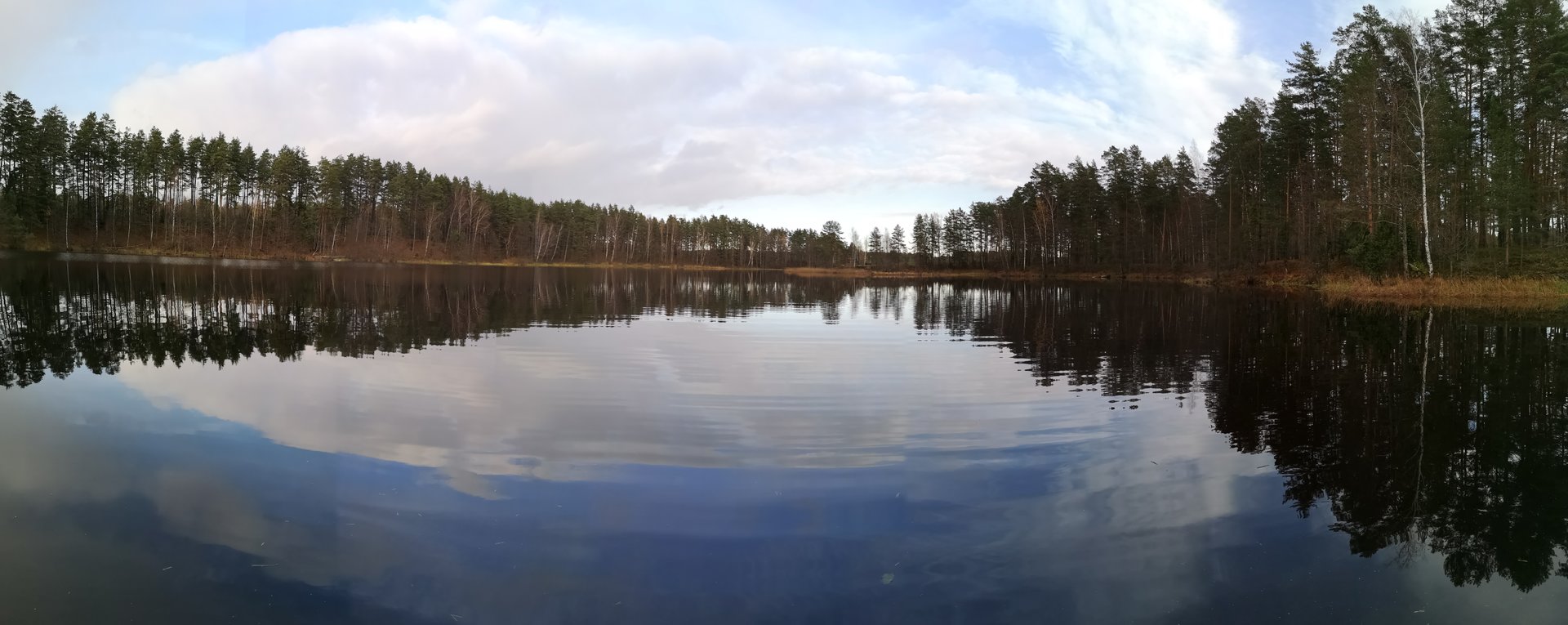 IMG_20191030_144329.jpg