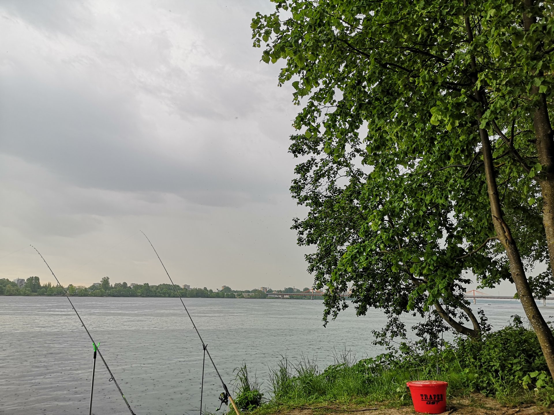 IMG_20200607_165724.jpg