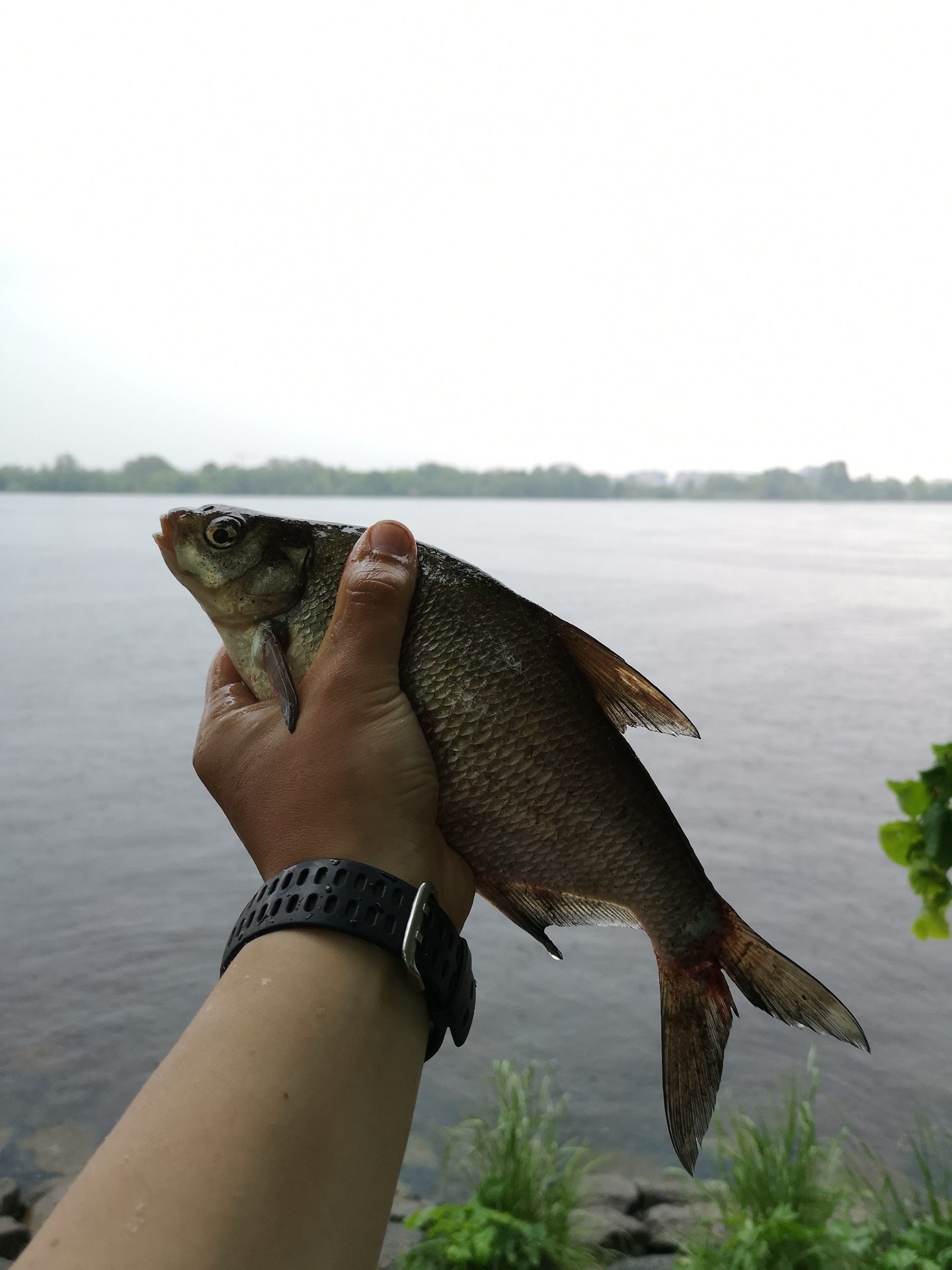 IMG_20200607_170853.jpg