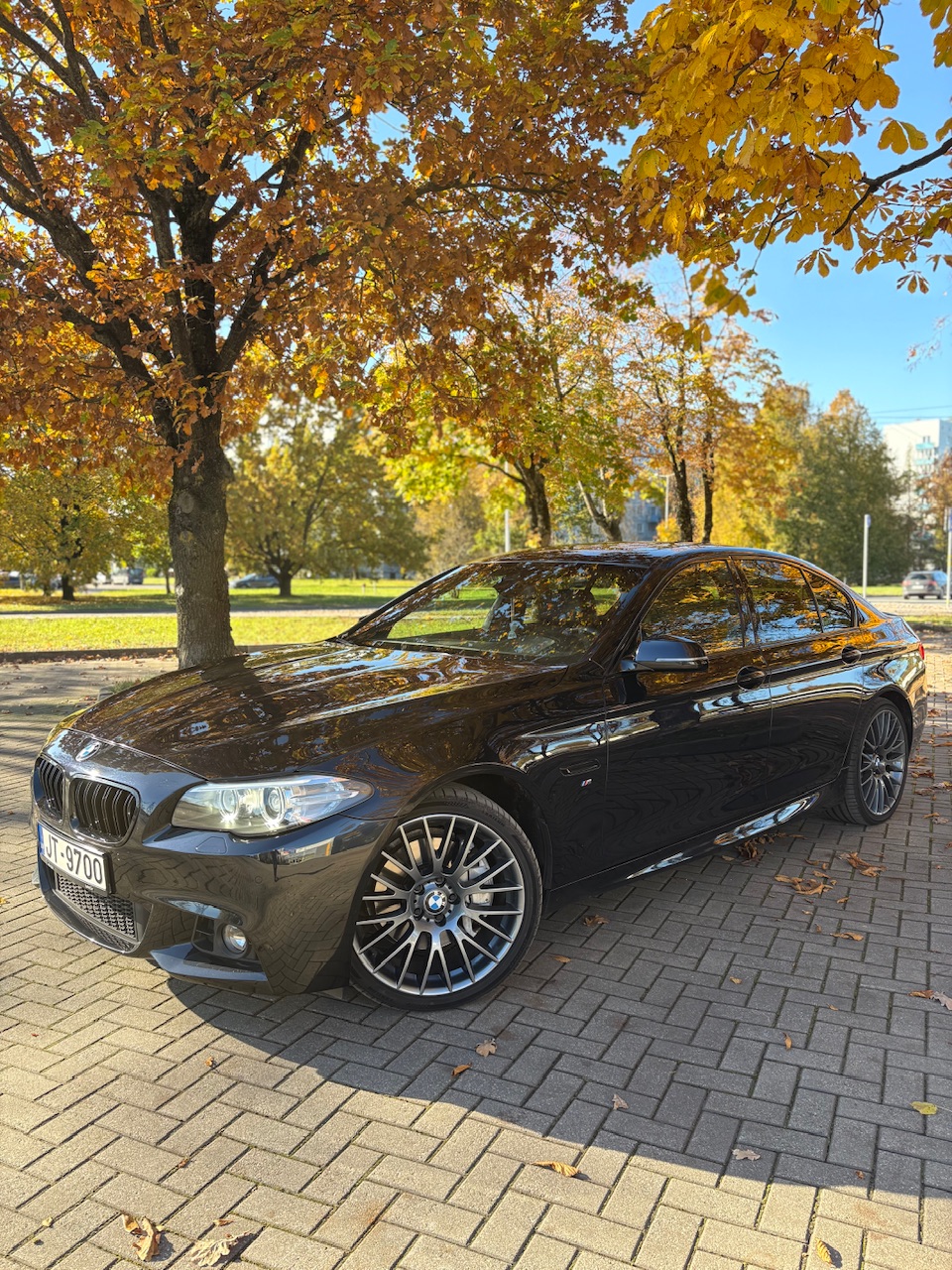 IMG_3710.jpeg