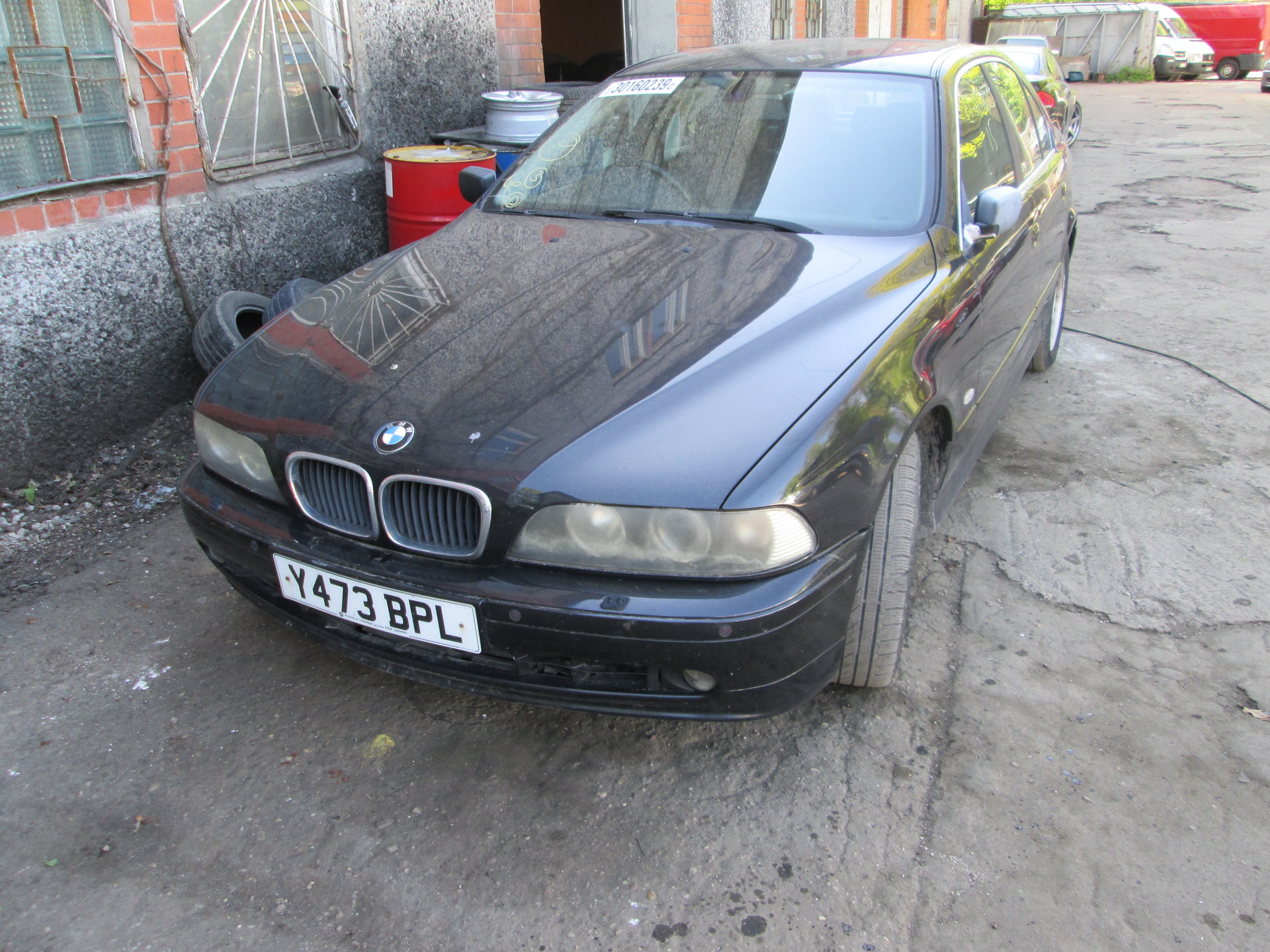 IMG_4870 — копия — копия.JPG