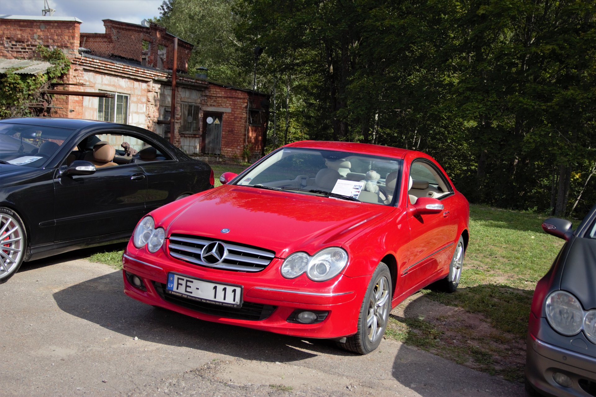 IMG_9591 (2).jpg