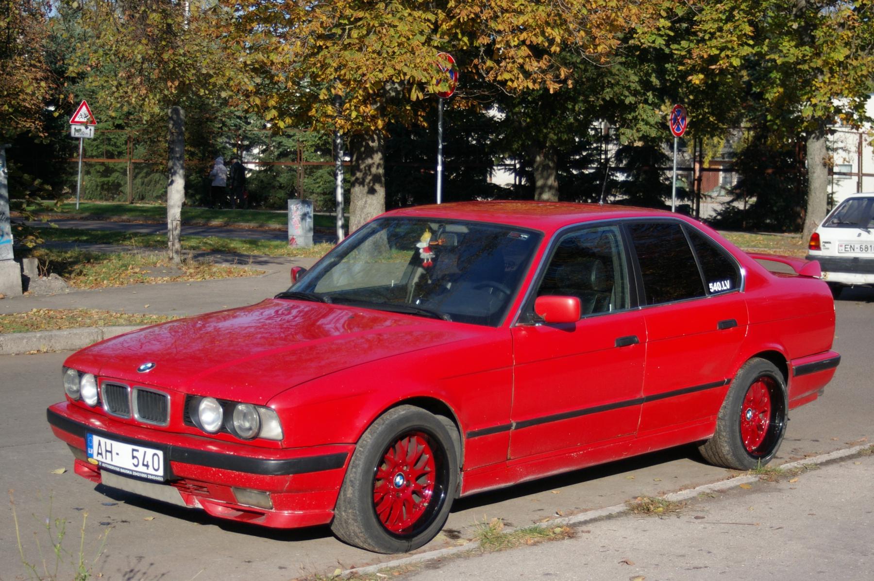 IMGP0020.jpg