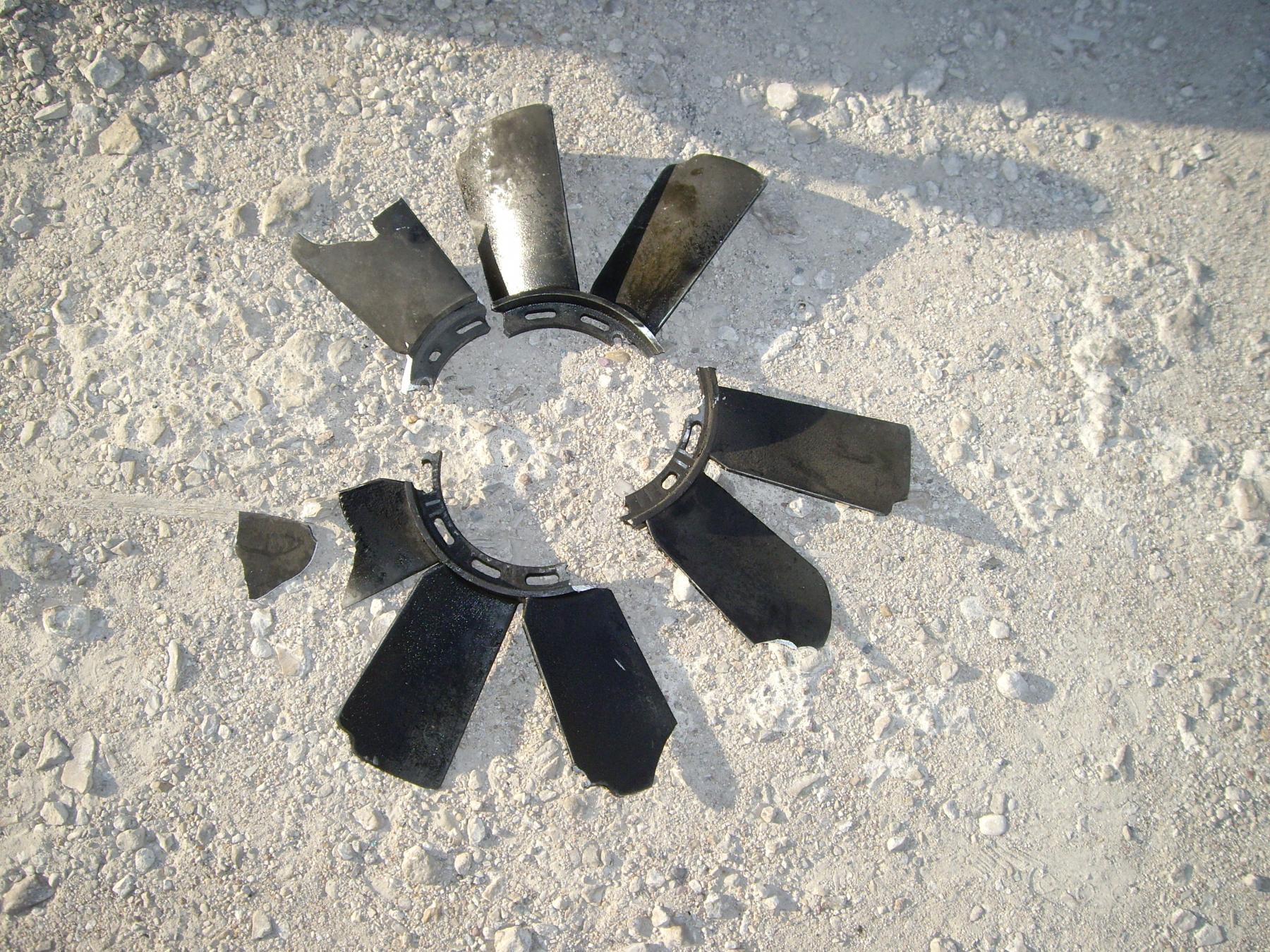 IMGP2494.jpg