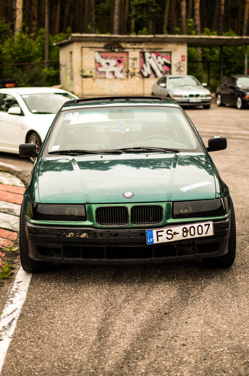 IMGP2956.jpg
