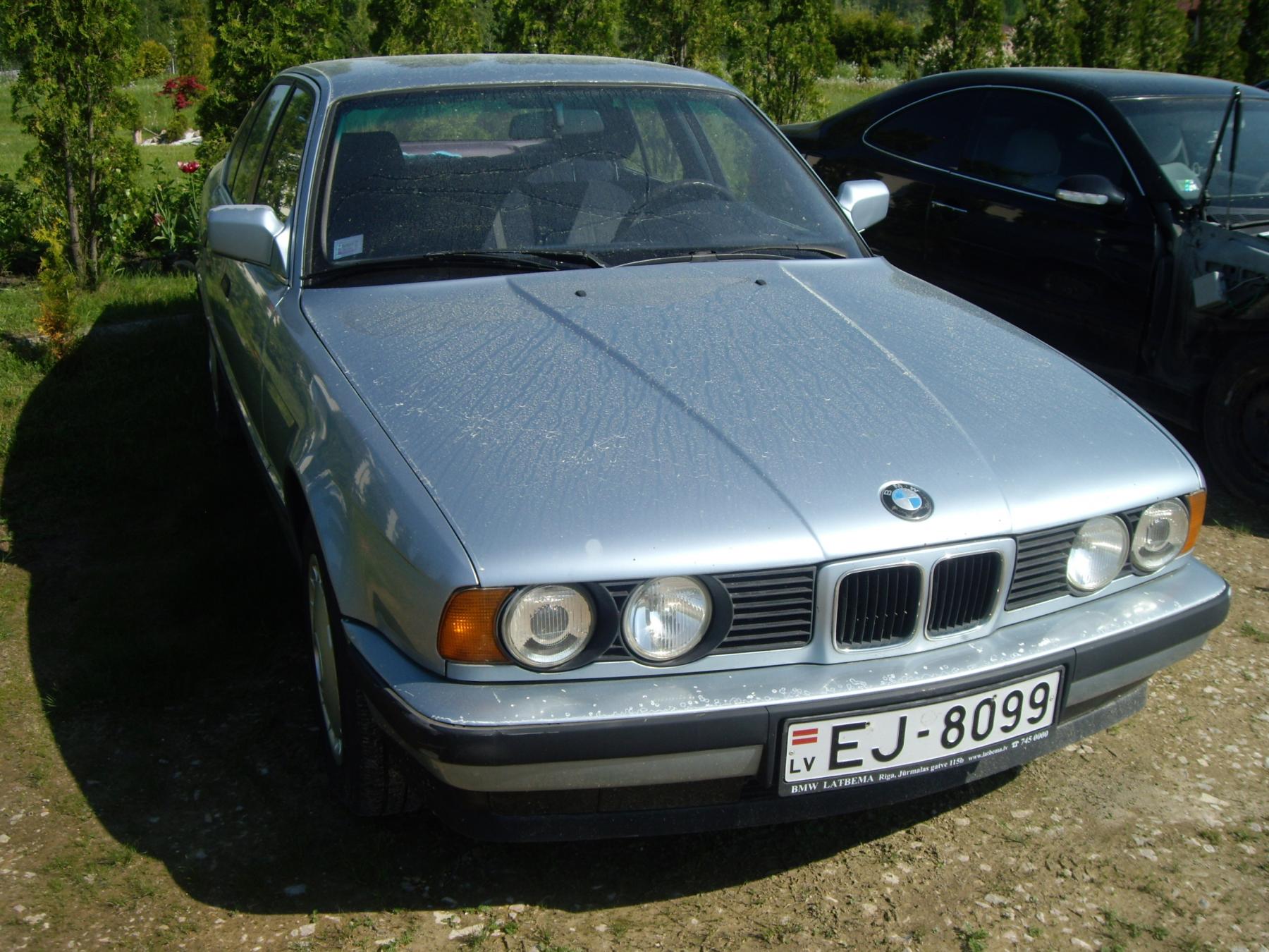 IMGP7569.jpg
