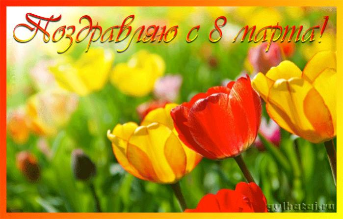 k-8-marta-uroki-dlya-fotoshopa-animirovannye-otkrytki.jpg