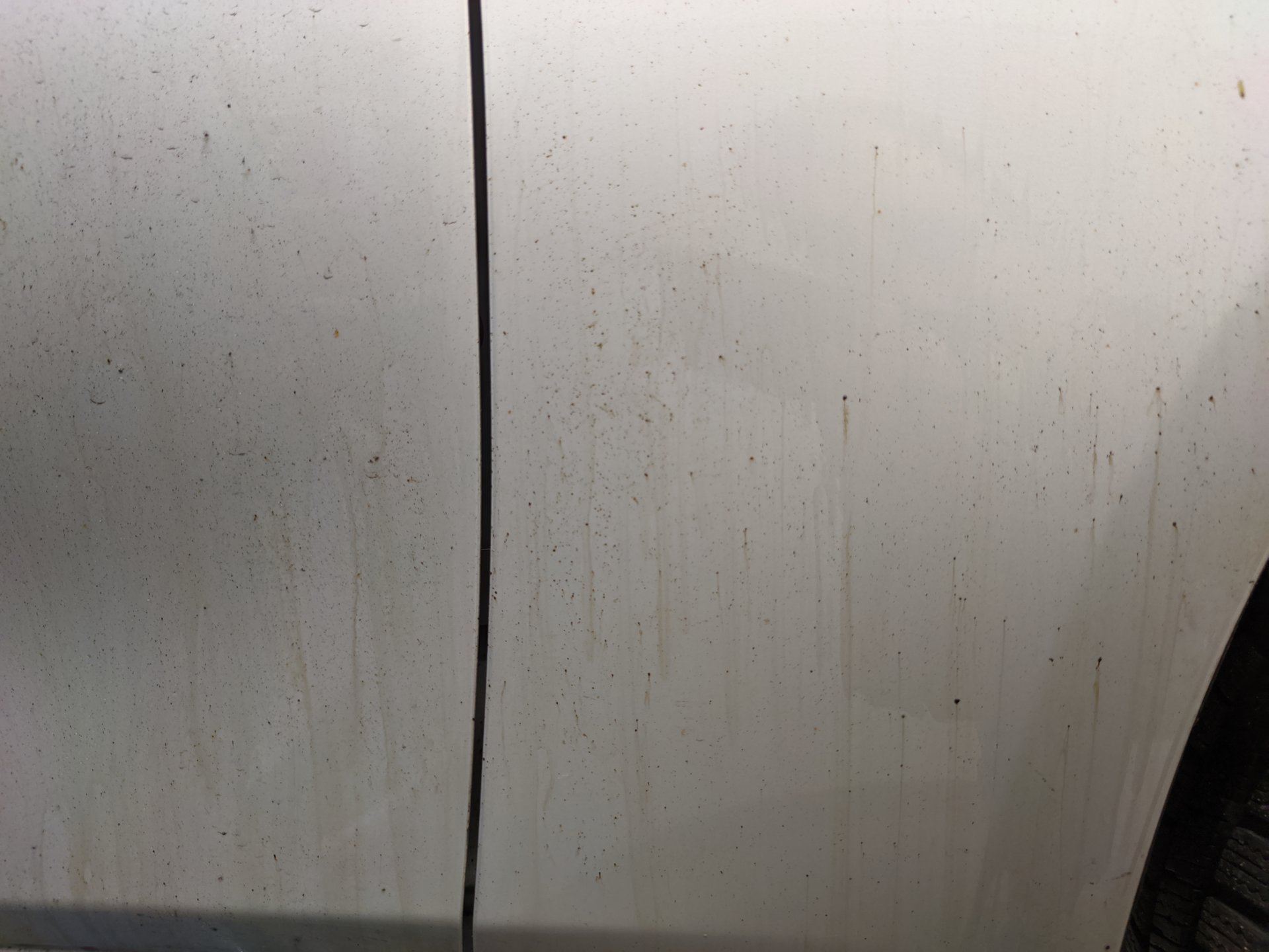 MVIMG_20210424_134649.jpg