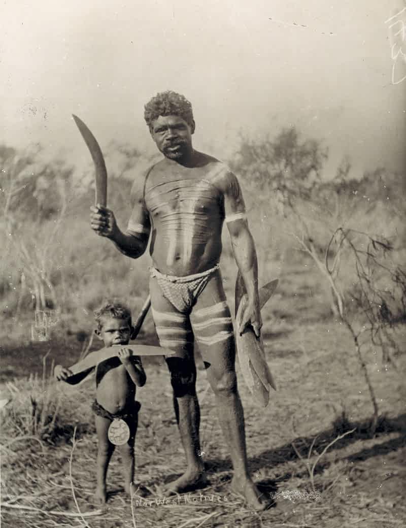 nwnatives.jpg
