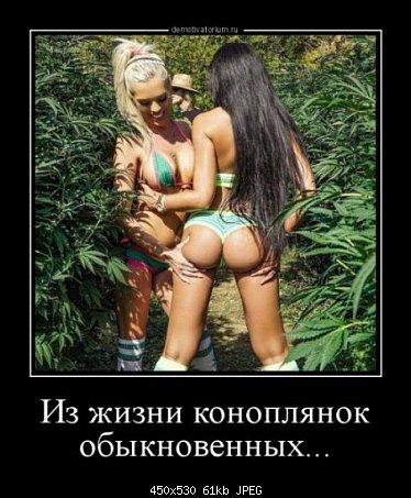 правеанлг.jpg